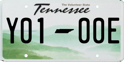 TN license plate Y0100E