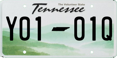 TN license plate Y0101Q