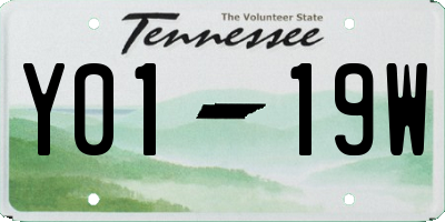 TN license plate Y0119W