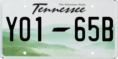 TN license plate Y0165B