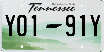 TN license plate Y0191Y