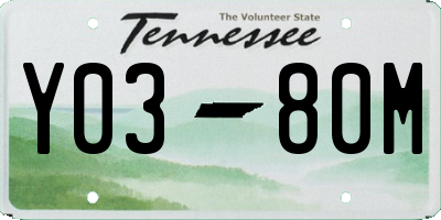 TN license plate Y0380M