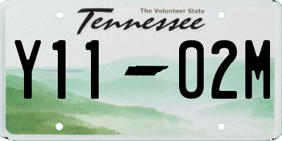 TN license plate Y1102M
