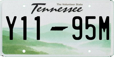 TN license plate Y1195M