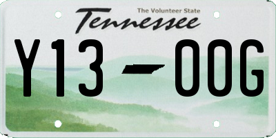 TN license plate Y1300G