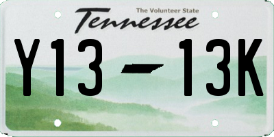 TN license plate Y1313K