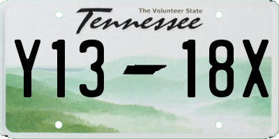 TN license plate Y1318X