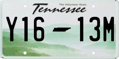 TN license plate Y1613M