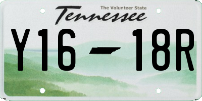 TN license plate Y1618R