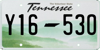 TN license plate Y1653O