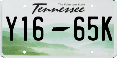 TN license plate Y1665K