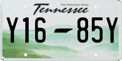 TN license plate Y1685Y
