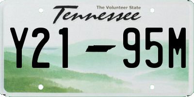 TN license plate Y2195M