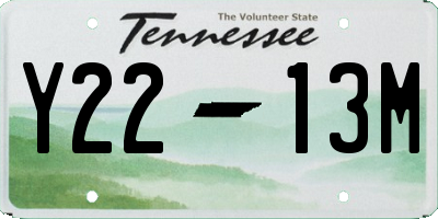 TN license plate Y2213M
