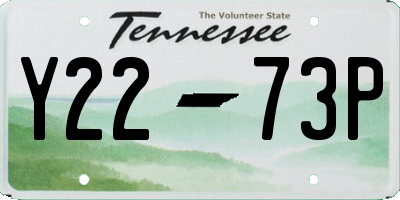 TN license plate Y2273P