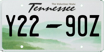 TN license plate Y2290Z