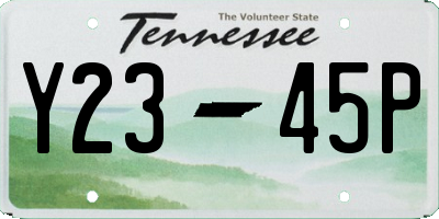 TN license plate Y2345P