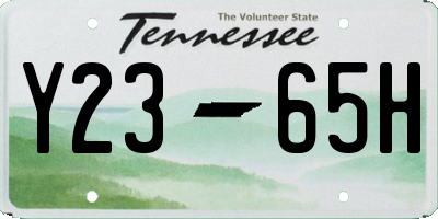 TN license plate Y2365H