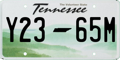 TN license plate Y2365M