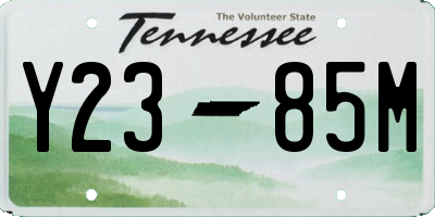 TN license plate Y2385M