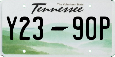 TN license plate Y2390P