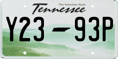 TN license plate Y2393P