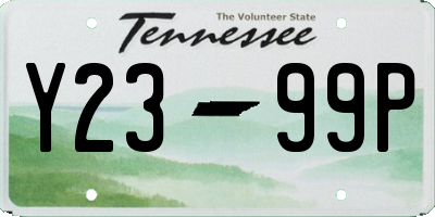 TN license plate Y2399P