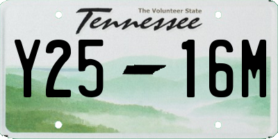 TN license plate Y2516M