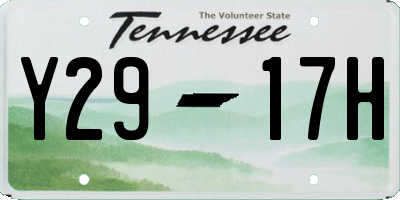 TN license plate Y2917H