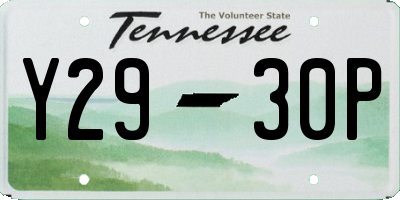 TN license plate Y2930P