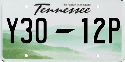 TN license plate Y3012P