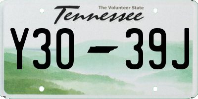 TN license plate Y3039J