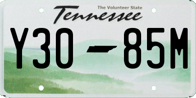 TN license plate Y3085M