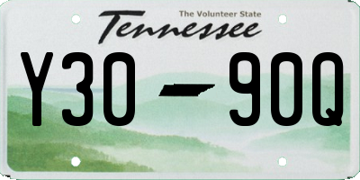 TN license plate Y3090Q
