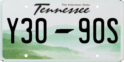 TN license plate Y3090S
