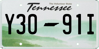 TN license plate Y3091I