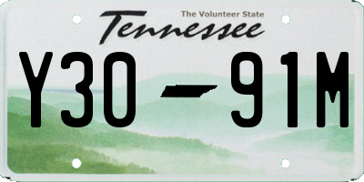TN license plate Y3091M