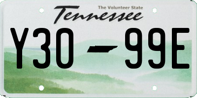TN license plate Y3099E