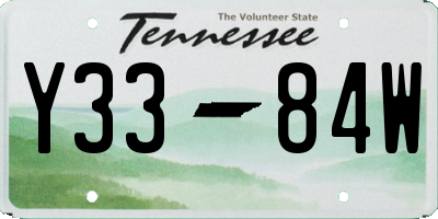 TN license plate Y3384W