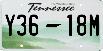 TN license plate Y3618M