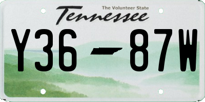 TN license plate Y3687W