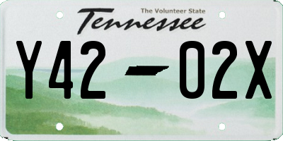 TN license plate Y4202X