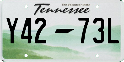 TN license plate Y4273L