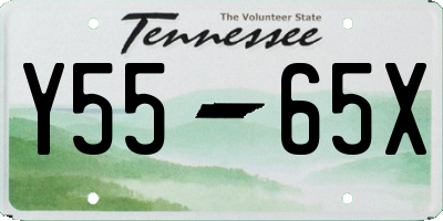 TN license plate Y5565X