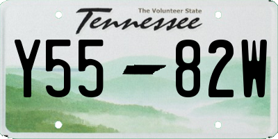 TN license plate Y5582W