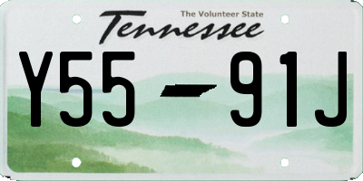 TN license plate Y5591J