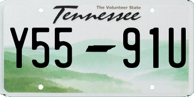 TN license plate Y5591U