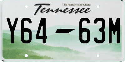 TN license plate Y6463M