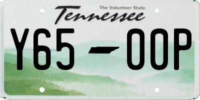 TN license plate Y6500P
