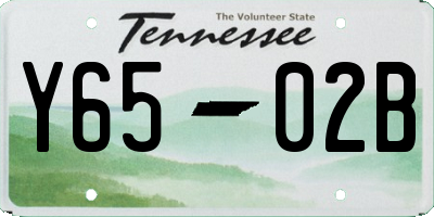 TN license plate Y6502B
